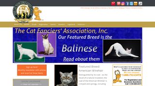 The Cat Fanciers' Association - The World's Largest Registry for ...