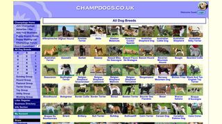 All Dog Breeds - Breeders, Stud Dogs, Puppies, Breed ... - Champdogs