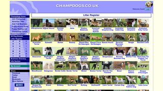 Puppy List - Champdogs