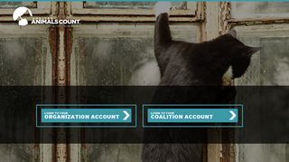 Account Login - Shelter Animals Count