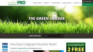 How Does Crabgrass Preventer Work? - Weed Pro