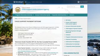 Child Support Enforcement Agency | Child Support Payment Options