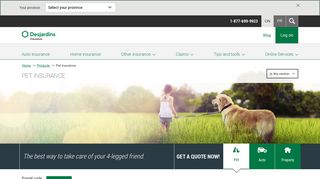 Pet Insurance for Dog, Cat Insurance | Desjardins Insurance