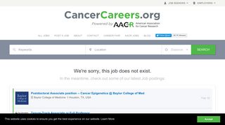 Head of Division “Cancer Prevention” at German Cancer Research ...