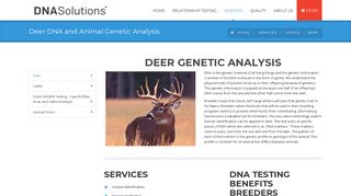 DNA Solutions | Deer DNA and Animal Genetic Analysis