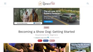 Becoming a Show Dog: Getting Started - The Spruce Pets
