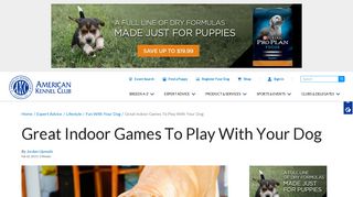 Great Indoor Games To Play With Your Dog – American Kennel Club