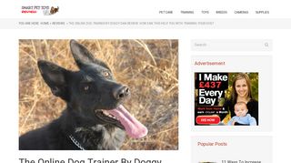 Doggy Dan Review: How Good Is The Online Dog Trainer? (Rating ...