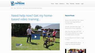 I can train your dog with The Online Dog Trainer - Doggy Dan