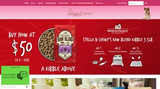 Pet Shop Singapore – Food & Supplies Online| Doggy Friend