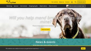 Dogs Trust: Dogs Rehoming & Dog Adoption Charity