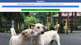 Dogs Trust Worldwide - Home | Facebook