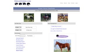 Dream Horse Classifieds: DreamHorse.com - Horses for Sale