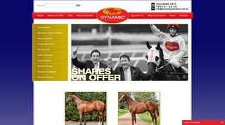 Racing Syndicate Shares on Offer | Horse Shares | Horse Syndications