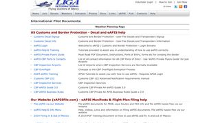 International Flights - eAPIS Help - How to File your eAPIS Flight Plans