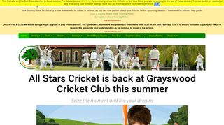 and All Stars - Grayswood CC - Play-Cricket