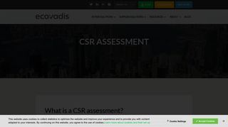 CSR Assessment | EcoVadis