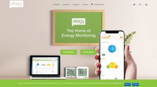 Efergy: Wireless energy monitors and online energy monitoring solutions