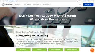 Secure Egnyte File Sharing Services & Solution | CenturyLink