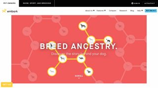 Embark Tests For Over 250 Breeds | Dog Ancestry | Embark