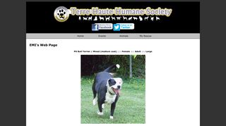 EMI's Web Page - Terre Haute Humane Society