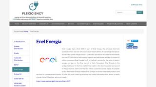 Enel Energia - Flexiciency