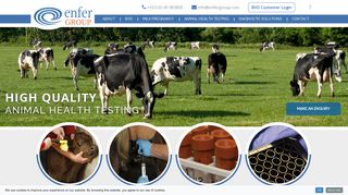 Enfer Group - BVD - Milk Pregnancy - Animal Health Testing