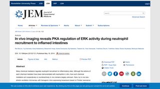 In vivo imaging reveals PKA regulation of ERK activity during ...