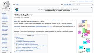 MAPK/ERK pathway - Wikipedia