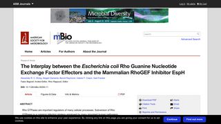 The Interplay between the Escherichia coli Rho Guanine Nucleotide ...
