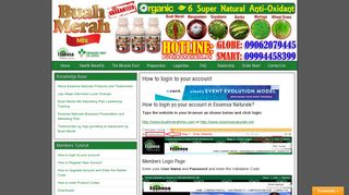 How to login yo your account in Essensa Naturale? - Buah Merah Mix