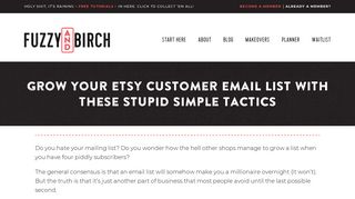 Grow Your Etsy Customer Email List With These Stupid Simple Tactics