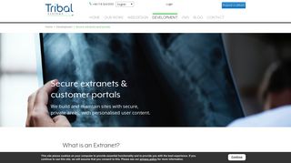 Developers of extranet, intranet, customer portals - Tribal Systems