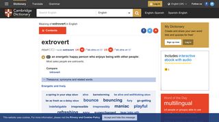 EXTROVERT | meaning in the Cambridge English Dictionary