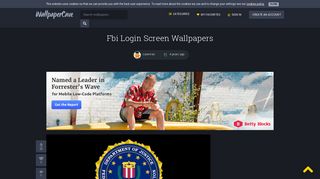 Fbi Login Screen Wallpapers - Wallpaper Cave