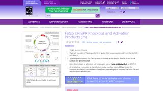 Fatso CRISPR Knockout and Activation Products (m) | SCBT - Santa ...