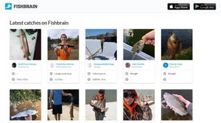 Latest catches on Fishbrain - The best fishing app for your local fishing ...