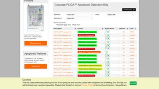 Analyze Active Caspases in Apoptotic Cells with FLICA™ Kits | Bio ...