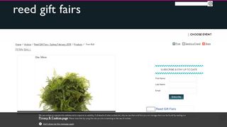 Fern Ball - Florabelle - Products - Reed Gift Fairs