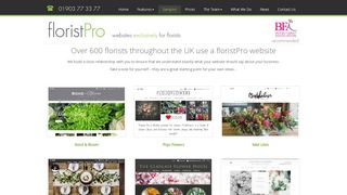 Floristpro Clients and Samples - Websites for florists