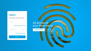Flow ID