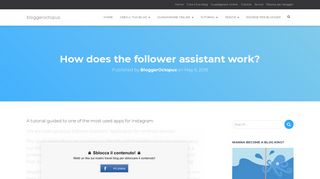 How does the follower assistant work? - bloggeroctopus