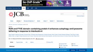 RUN and FYVE domain–containing protein 4 enhances autophagy ...