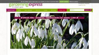 Buy Garden Plants from Online Garden Centre Gardening Express ...