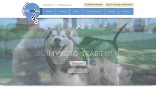 Dog Boarding, Daycare, & More | Play Dog Play | Burlington, VT