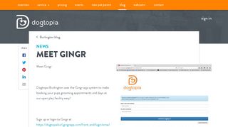 Meet Gingr - Burlington - Dogtopia