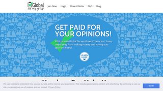 Global Survey Group