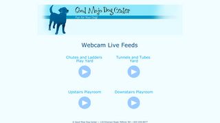 Webcam Live Feeds - Good Mojo Dog Center