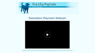 Downstairs Playroom Webcam - Good Mojo Dog Center