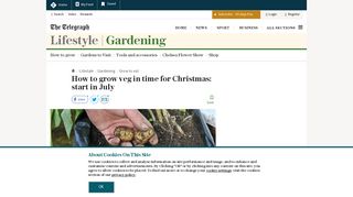 How to grow veg in time for Christmas: start in July | The Telegraph
